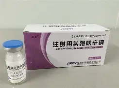 哈兰德西甲赛程公布冲上热搜(哈兰德西甲赛程公布冲上热搜了吗) 哈兰德西甲赛程公布冲上热搜(哈兰德西甲赛程公布冲上热搜了吗)