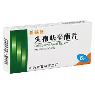 哈兰德西甲赛程公布冲上热搜(哈兰德西甲赛程公布冲上热搜了吗) 哈兰德西甲赛程公布冲上热搜(哈兰德西甲赛程公布冲上热搜了吗)
